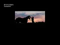 Boozoo Bajou - Fuersattel