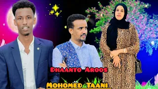 MAXAMED TAANI DHAANTO CUSUB TAHNIYAD AROOS NEW VIDEO HD 2025 