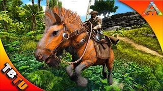 ARK EQUUS TAMING WHERE TO FIND HOW TO TAME THE EQUUS Ark Survival Evolved V256 Gameplay