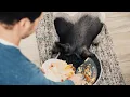 InSinkErator Quiet Series Garbage Disposals - House Pig There s an easier way to manage food waste