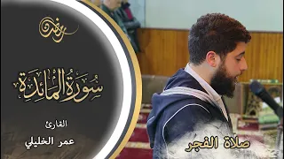                                                                                          دندنها