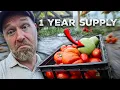 Download Lagu Turning Tomatoes into a Years Worth of Sauce
