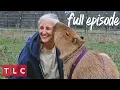 Download Lagu Obsessed With Her Pet Capybara! | My Crazy Obsession (Full Episode)