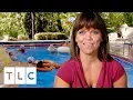 Amy Has a Pool Party Little People Big World