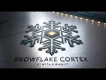 Unlock Snowflake Data Intelligence with Cortex AI End-to-End Demo Hands-on Guide