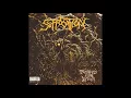 Suffocation - Depths of Depravity