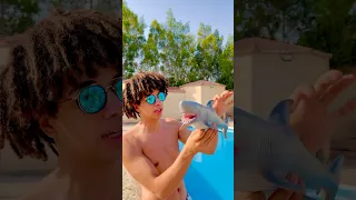 اشتريت سمكه قرش   دندنها