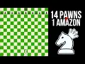 14 PAWNS vs 1 AMAZON