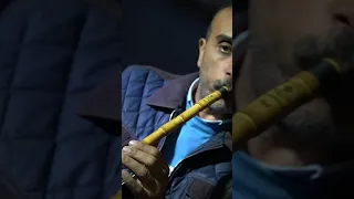 حبيبى غاب يا قمر الليل احلى ما غنى هشام نور دندنها