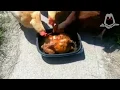 Rare Of Chickens Eating Roasted Chicken