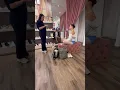 Download Lagu Pointe shoe fitting!🩰 #ballet #ballerina #dance #pointeshoes #shorts #shortsviral #short