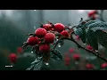 Soft Guitar Music - Peaceful Dawn Acoustic Instrumental For Morning Calm