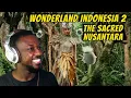 Download Lagu Reacting To Wonderland Indonesia 2 : The Sacred Nusantara (Chapter 2)