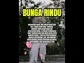 Lagu BUNGA RINDU
