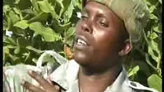 Makondeko Group Musica Kilamunu Avenakwa III Remix Official Video 