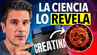 Nuevo ESTUDIO vincula la CREATINA con el CÁNCER: esto es lo que no te están contando (Endocrino)