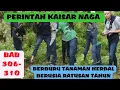 PERINTAH KAISAR NAGA BAB 306 310, BERBURU TUMBUHAN HERBAL BERUMUR RATUSAN TAHUN