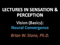 Sensation and Perception - Vision Basics Pt3
