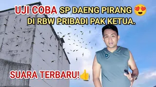 try sp daeng pirang chiefs personal dirbw latest voice