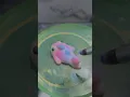Magical fish