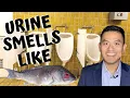 5 Reasons Why Your Urine Smells Like Fish Explained by Urologist Dr Robert Chan M D