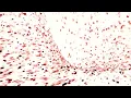 FLASH WARNING Creeds Push Up Luminatix Remix