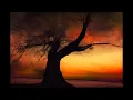 Isaiah Rizzo - under the tree