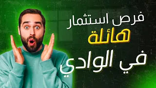فرص استثمار زراعي هائلة في الوادي الجديد   الخارجة بوابتك للثروة الزراعية دندنها