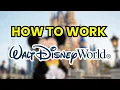 How to work at Disney World in 2026 Requirements and Where to Apply