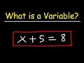 What is a Variable