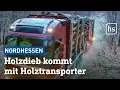 Download Lagu Wildkamera filmt Unglaubliches: Dreister Holzklau aufgedeckt | hessenschau