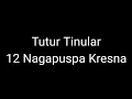 Download Lagu Episode 333 Tutur Tinular - 12 Nagapuspa Kresna