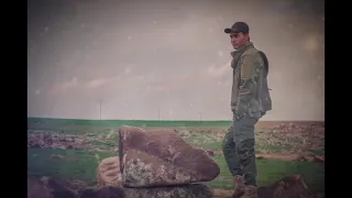 زوكار دندنها