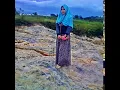 Download Lagu Tak Pernah Ternilai Dimatamu