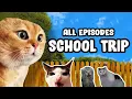 SCHOOL TRIP CAT MEME COMPILATION