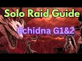 Lost Ark Echidna Solo Raid Guide