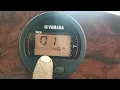 How to reset maintenance hour on Yamaha outboard gauge