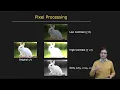 Pixel Processing Image Processing I