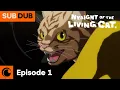 Download Lagu Nyaight of the Living Cat Episode 1 SUB/DUB | Everything Becomes Cat