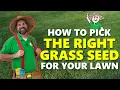 How to Pick Out the Best Grass Seed for your Lawn