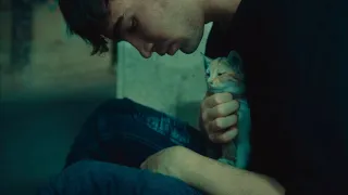                                           دندنها