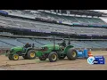 Interview Frank Rossi NY turfgrass extension specialist talks World Cup fields