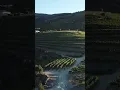 Lagu Douro Valley | Portugal’s Breathtaking Gem – A Journey Through Beauty #dourovalley #wineregion