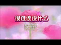 范怡文《很难该说什么》KTV 导唱字幕 （备有伴奏视频）