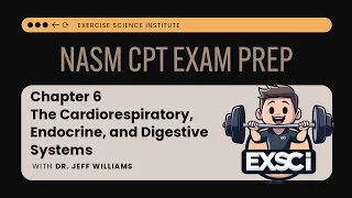 Chapter 6 - The Cardiorespiratory Endocrine and Digestive Systems