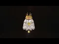 Future - WIFI LIT ( Official Dance Video )