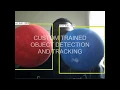 Custom Trained Object Detection with OpenCV and TensorFlow