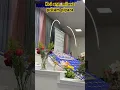 Download Lagu koyi ann milage mera preetam piyara - Detroit 25