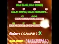 Lagu Chord + lirik STUPIDITY - KAU ( versi original)