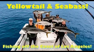 Channel Islands Fishing Action